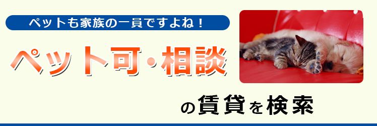こだわり検索